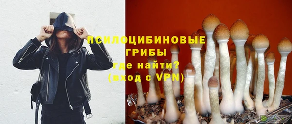 дурь Киреевск