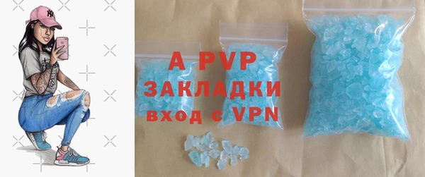 PSILOCYBIN Карпинск