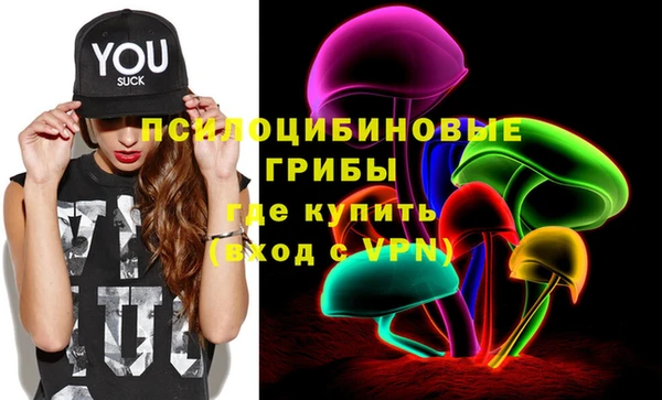 дурь Киреевск