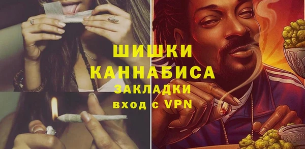 дурь Киреевск