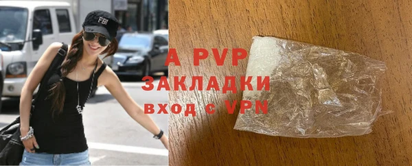 PSILOCYBIN Карпинск
