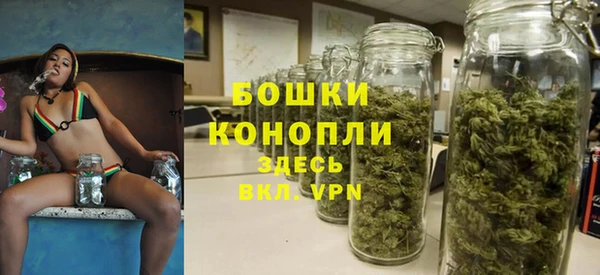 дурь Киреевск
