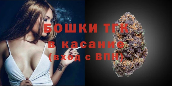 дурь Киреевск